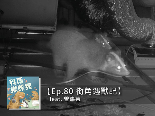 EP.80 街角遇獸記 feat. 曾惠芸&林思民 aka 結合家庭資源與研究資源超強組合