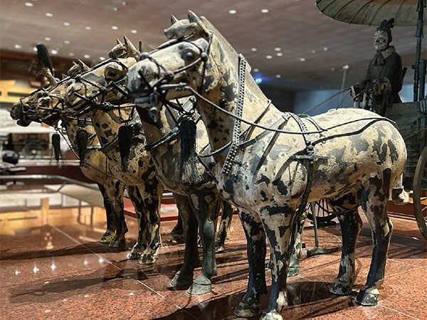 EP.56 一馬當先賀馬年