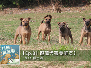 EP.81 遊蕩犬害覓解方 feat. 顏士清 aka 動保野保平衡點