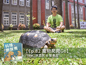 EP.82 寵物爬爬Go feat. 林思民&曾惠芸 aka 兩爬是真愛