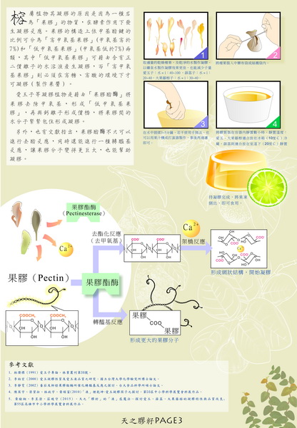 蘇毓智-天之膠籽3 蘇毓智-天之膠籽3