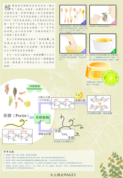 蘇毓智-天之膠籽3