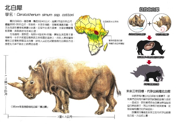 羅信誠-拯救北白犀-1