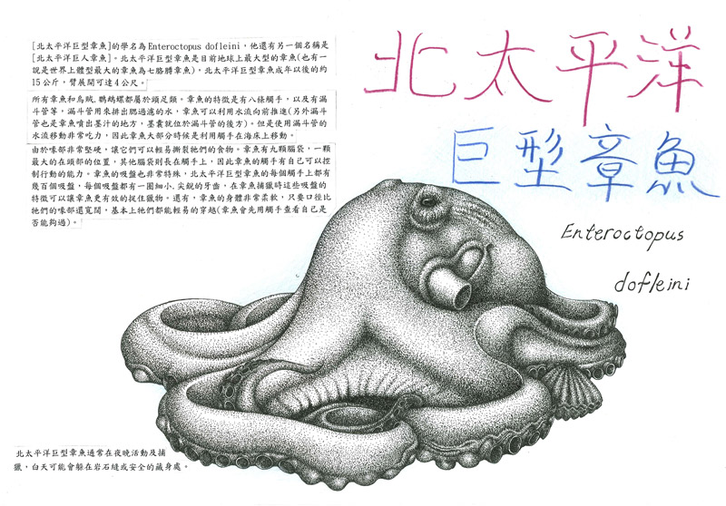 王裕鑫-巨型章魚-1