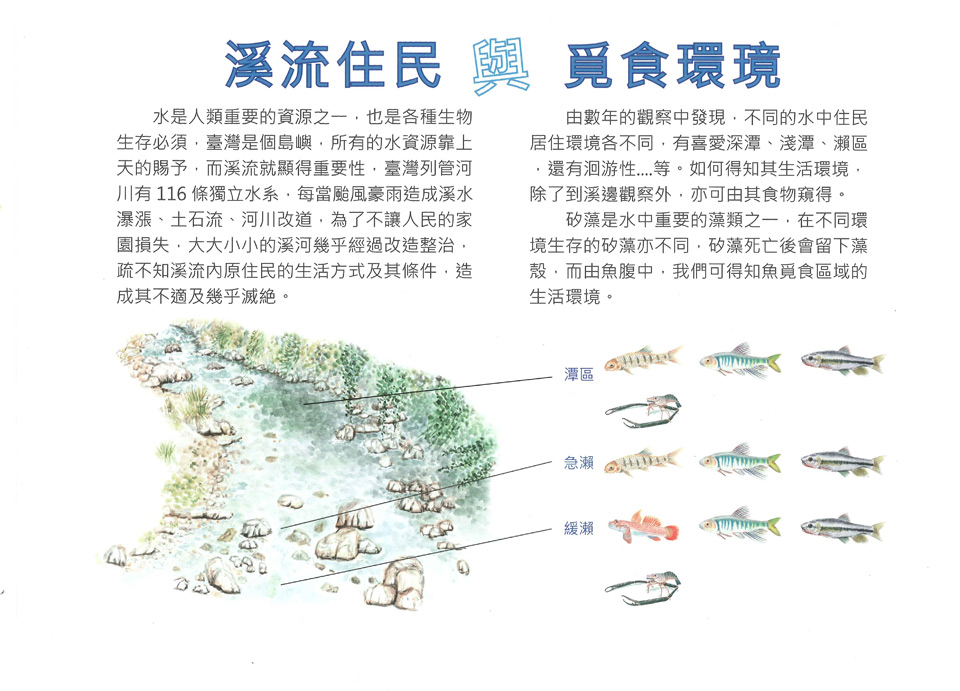 溪流住民與覓食環境1