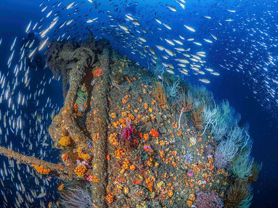 高國維-人工魚礁的集魚效應2