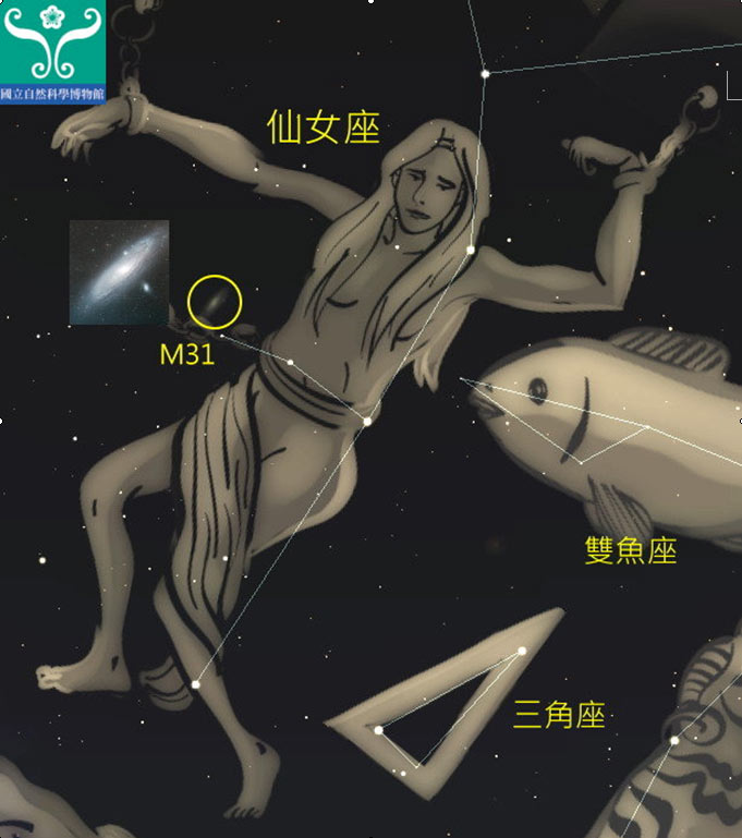 圖三 仙女座及M31星雲。