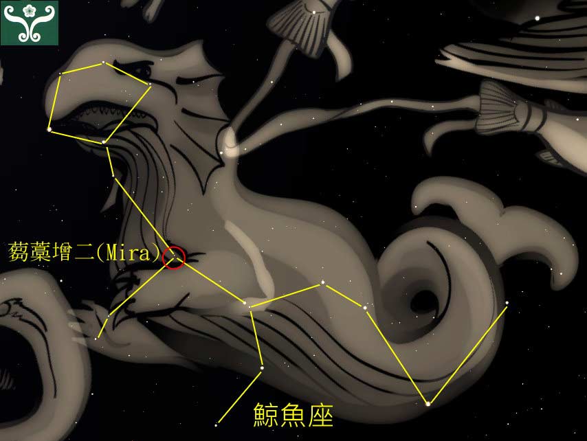 圖三 「鯨魚座」及「芻蒿增二」脈動變星。