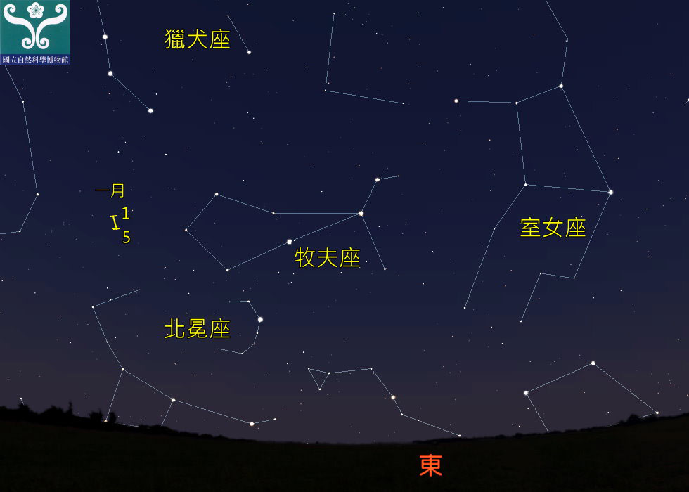 圖一 一月三日午夜牧夫座及流星雨輻射點的位置。