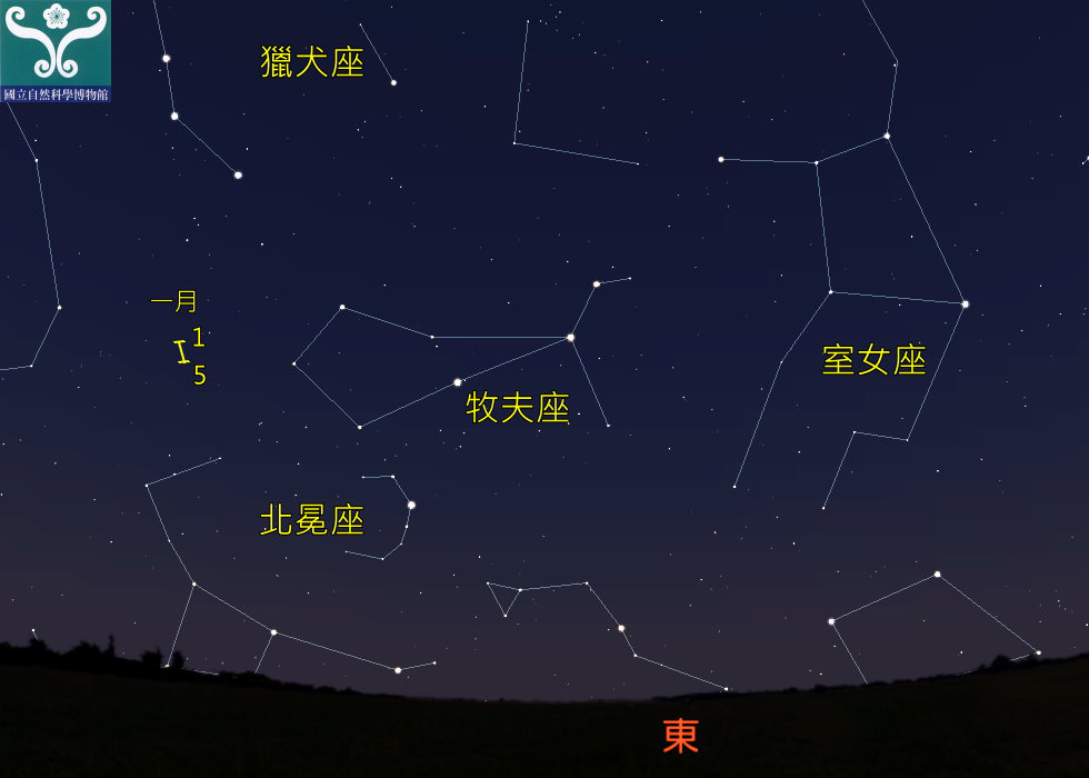 圖二 1月4 日午夜牧夫座及流星雨輻射點的位置