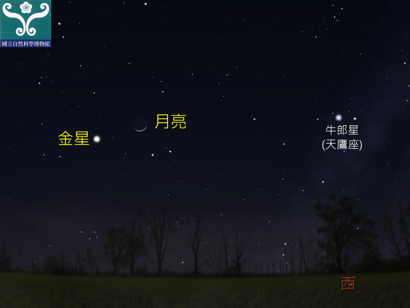 圖八 金星合月示意圖。