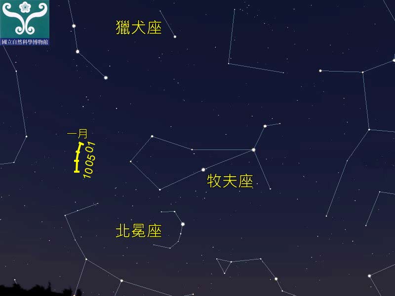 圖二 一月四日午夜牧夫座及流星雨輻射點的位置示意圖。