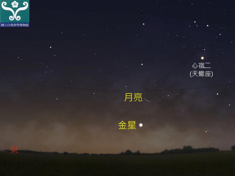 圖三 金星合月星示意圖。