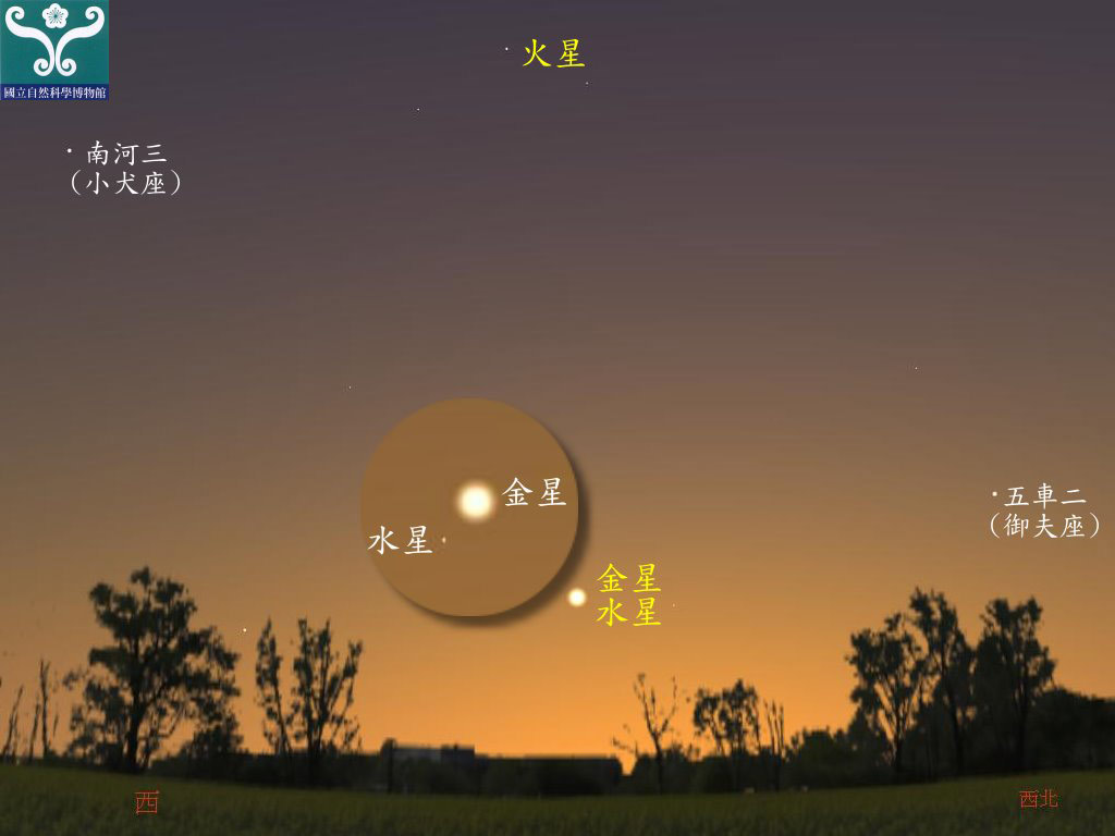 圖五 金星合水星示意圖。
