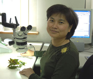 Wang, Chiu-Mei
