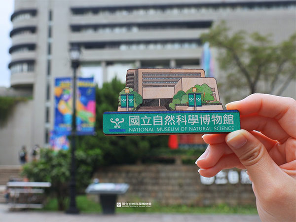化石先生聯名冰箱貼-文創商品照片5