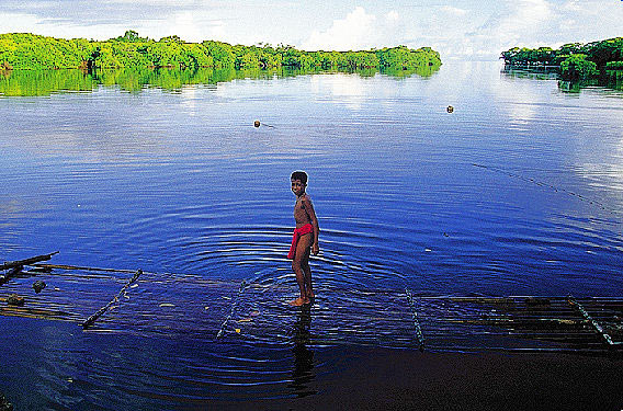 Mangrove lagoon and raft of Yap, Micronesia.