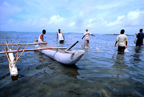 Social Organization of Fishing Boats.