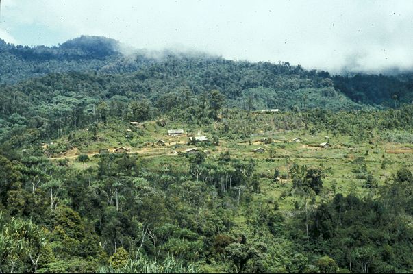 Highland of Papua New Guinea.