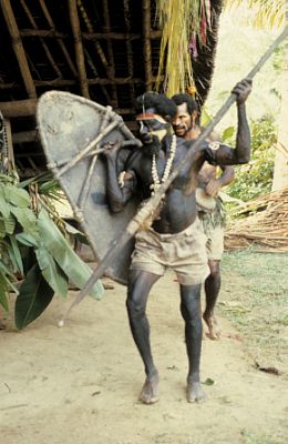 Fighters, Papua New Guinea.