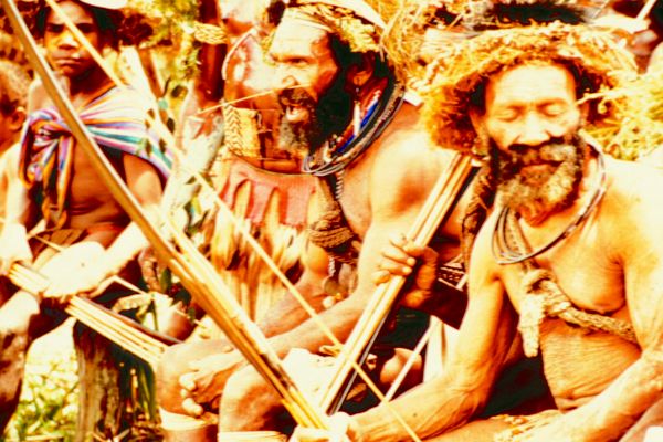 Fighters, Papua New Guinea.