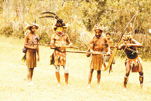 Fighters, Papua New Guinea.