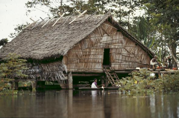 Sepik River Area, Papua New Guinea.