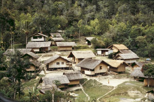 Aseki, Bulolo, Papua New Guinea.