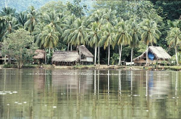 Sepik River Area, Papua New Guinea.