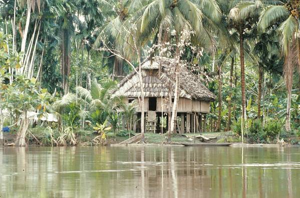 Sepik River Area, Papua New Guinea.