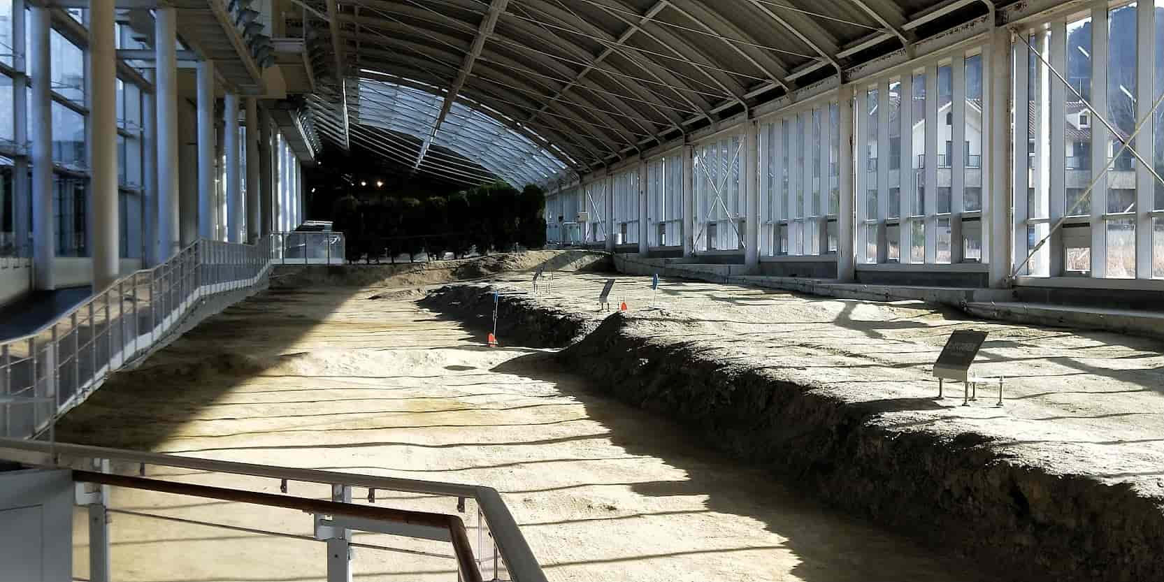 野島斷層保存館斷層保存概況