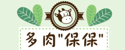 多肉保保植栽生態瓶