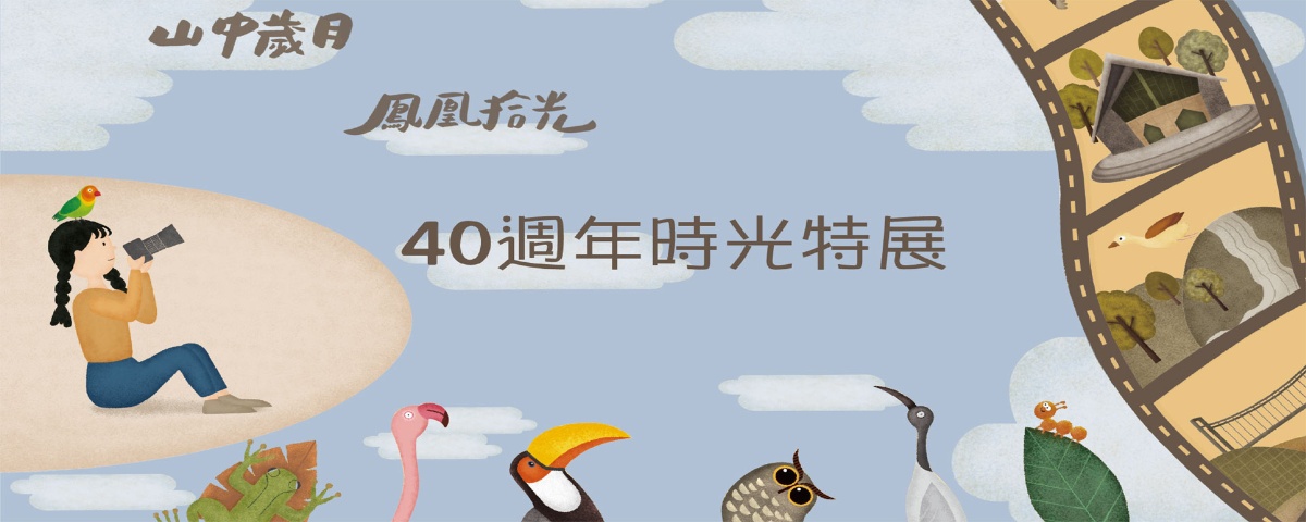 《40週年時光特展—鳳凰40 雙語再現》