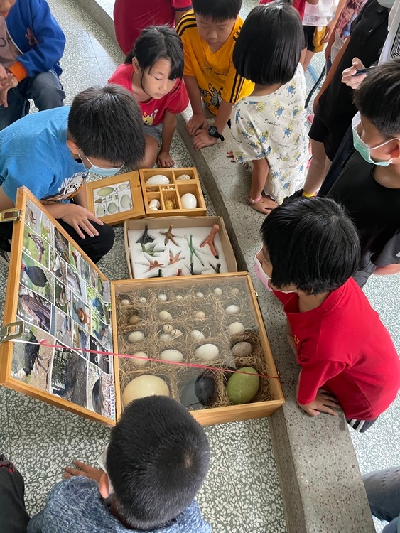 鳥蛋等標本觀察。
Observation of bird egg and other specimens.
