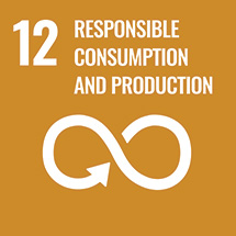 SDG 12 責任消費及生產